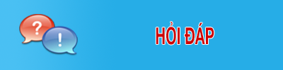Hỏi đáp